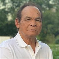 Phi Vu Profile Photo