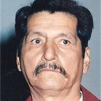 Manuel R. Arellano