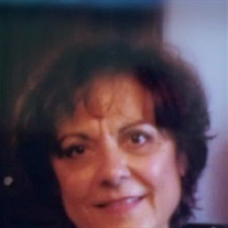 June Zordich-Bertilacci Profile Photo
