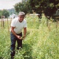 Robert David Carter Profile Photo