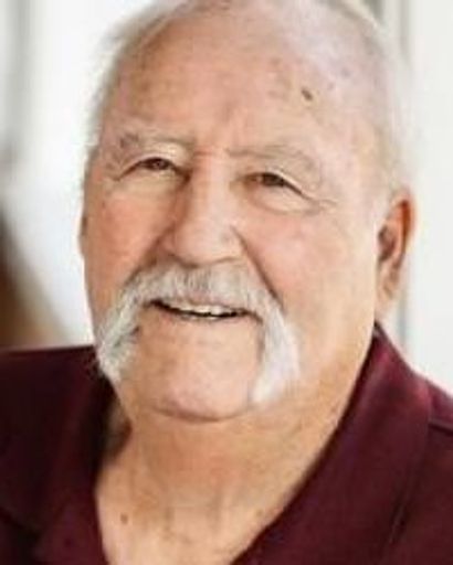 Steve Richards Profile Photo