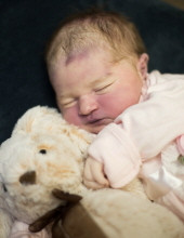 Kyra  Noel Farley Profile Photo