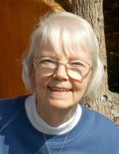 Nancy R. Chapin Profile Photo