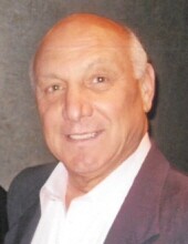 Vito P.  Rotello