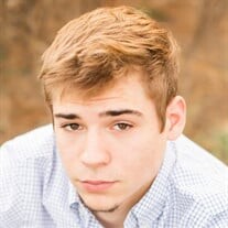 Tyler Matthew Head Profile Photo