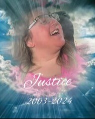 Justice Kopelic's obituary image