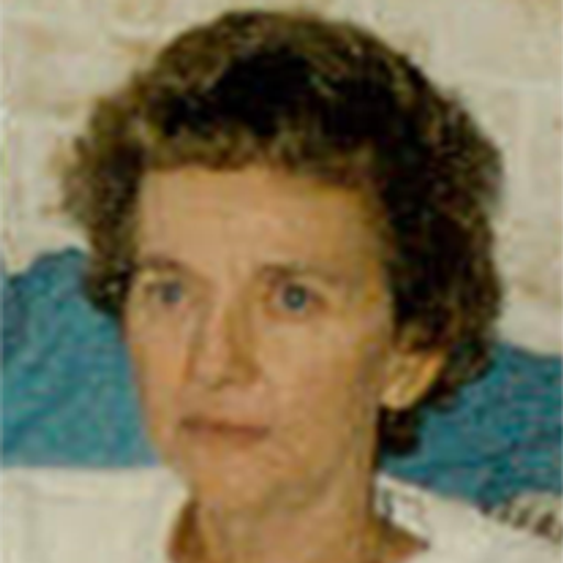 Joyce Ann Hartman