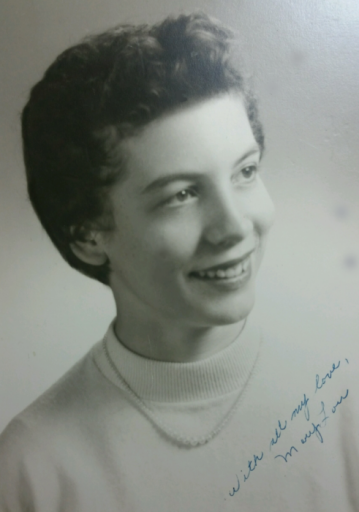 Mary Lou (Falash)  Alwardt