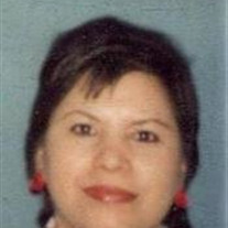 Celia Coronado Profile Photo