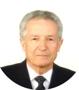 Vincenzo Nicolini Profile Photo