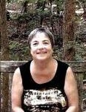 Ann M. Liberatore Profile Photo