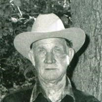Robert Tyler, Profile Photo