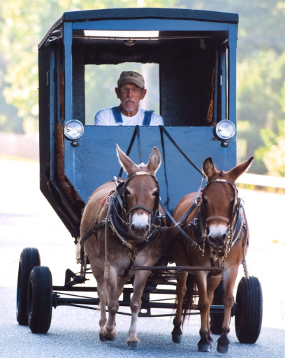 Harvey Lee "Mule Man" Beaty