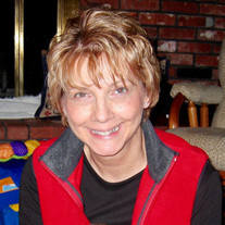 Susan M. Young Profile Photo