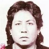 Delfina S. Muñoz Profile Photo