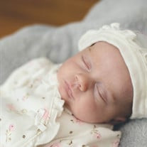 Everly Rose Pope