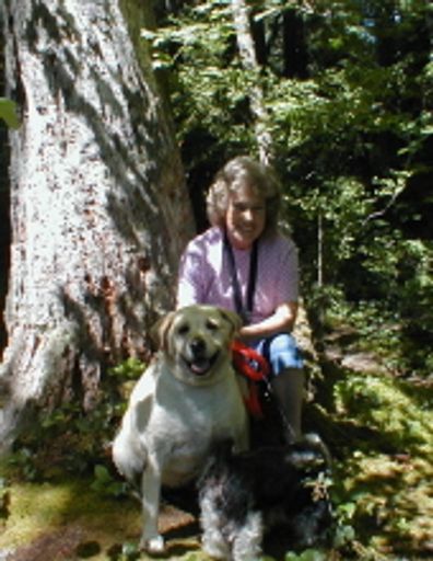 Eileen Simms Profile Photo