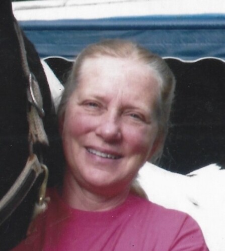 Elaine L. Pfohl Profile Photo