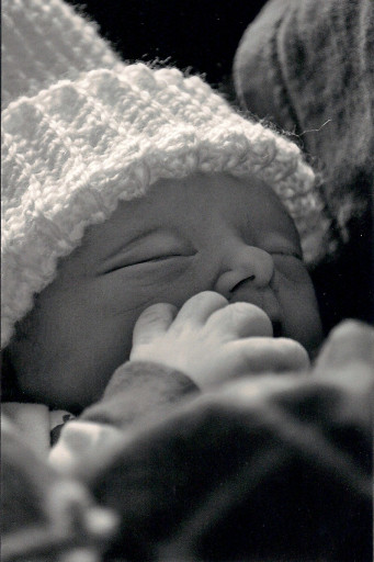 Hendrix Davis Shaughnessy