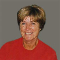 Mary Ellen Huisenga Profile Photo