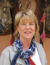 Sue L. Driscoll Profile Photo