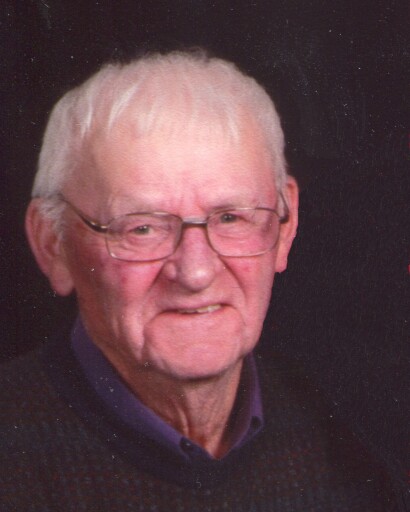 Leon W. Nelson's obituary image