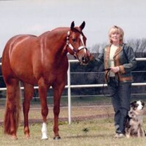 Mary Lyn Wagner (Rawlings) Profile Photo