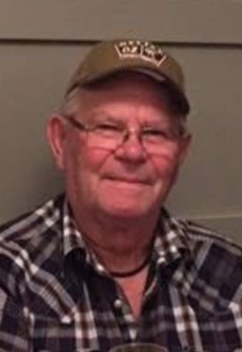 Lyle William Nelson's obituary image