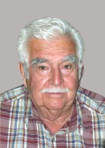 Virgilio Ayala Quiroga