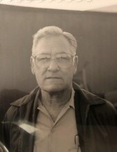 Frank L Domenico, Sr.