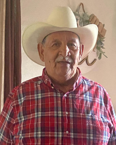Elias Fernandez Garcia, Jr.