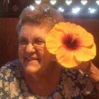 Betty Ann Frederick Profile Photo