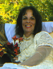 Judy Boyer Wallace Harris Profile Photo