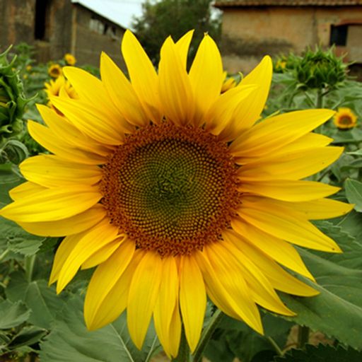 Kathleen Baker Obituary 2015 Baker Funeral Home