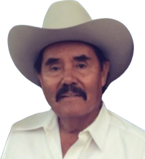 Alfonso Romero Ibarra Profile Photo