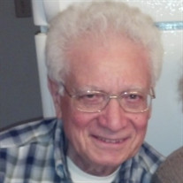 Dominic F. Zizzo