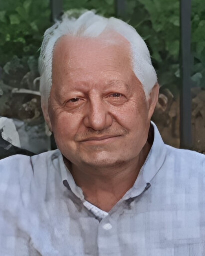 Domenico M. Luongo's obituary image