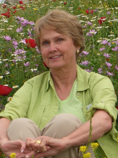 Phyllis Gilbertson Profile Photo