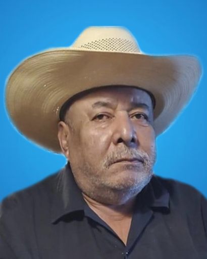 Fernando Quintanilla Profile Photo