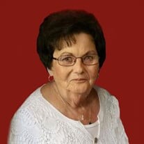 Donna Cummings Profile Photo