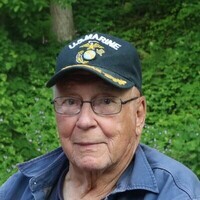 Lewis A. Thesing Profile Photo