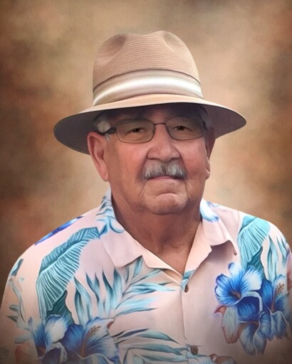 David Dominguez Vejil Sr.'s obituary image