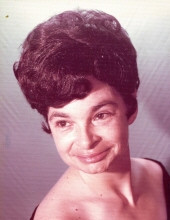 Carol J. Schifer Profile Photo