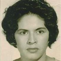 Maria Elena Fernandez