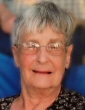 Lois N. Benzinger