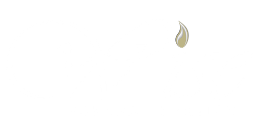 Wise Funeral Service Logo