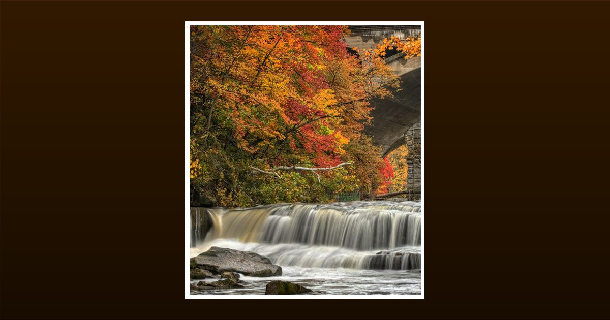 Reta Darlene Mcmurtrey Obituary, Rigby, ID