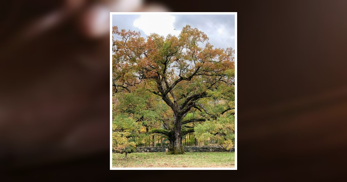 Richard Gary Lee Obituary, Boaz, AL