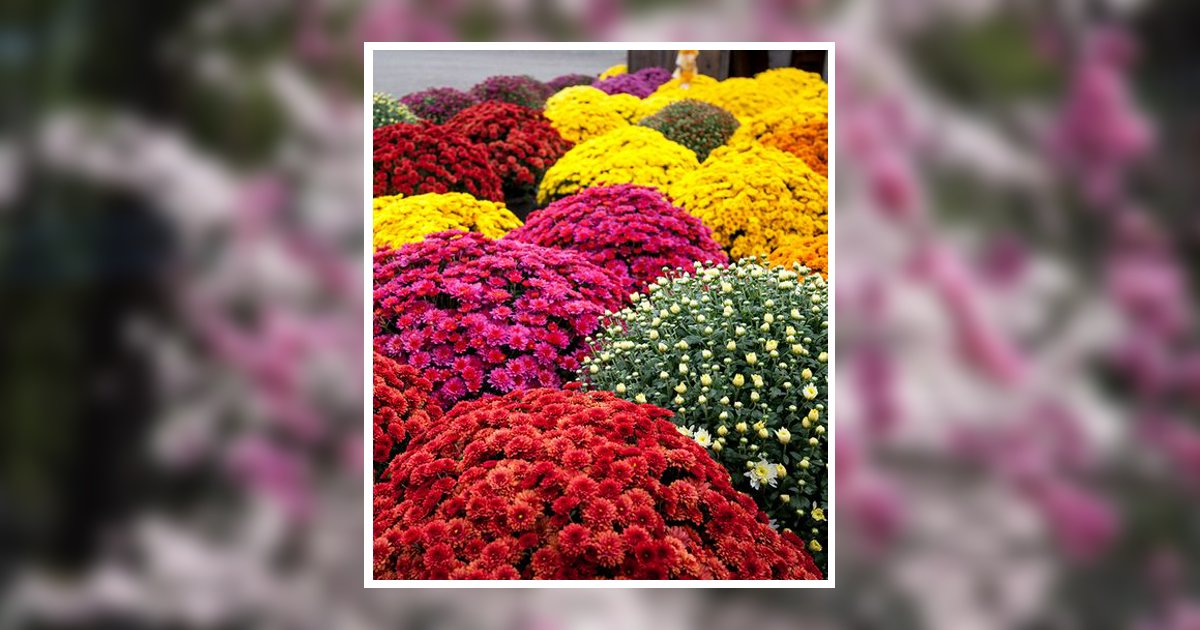 Portrait of Florence Vukovich