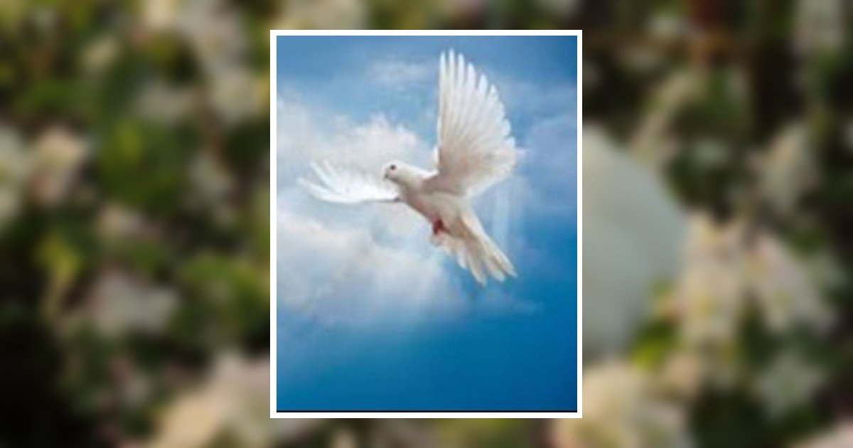 Robin Sue Stark Shreveport, LA Obituary